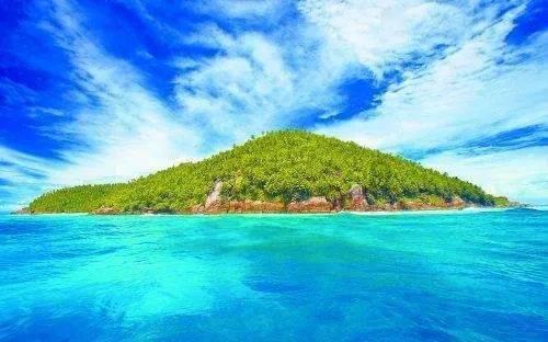 茂密丛林逃生