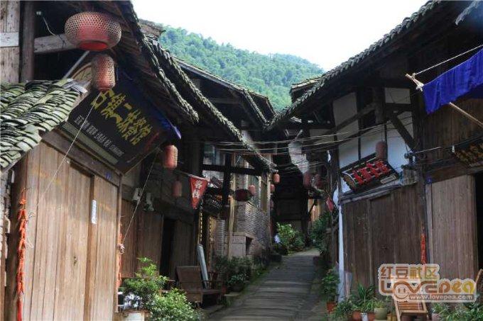 特斯拉期权聚焦:1月24日成交186.9万张,未平仓合约654.38万张